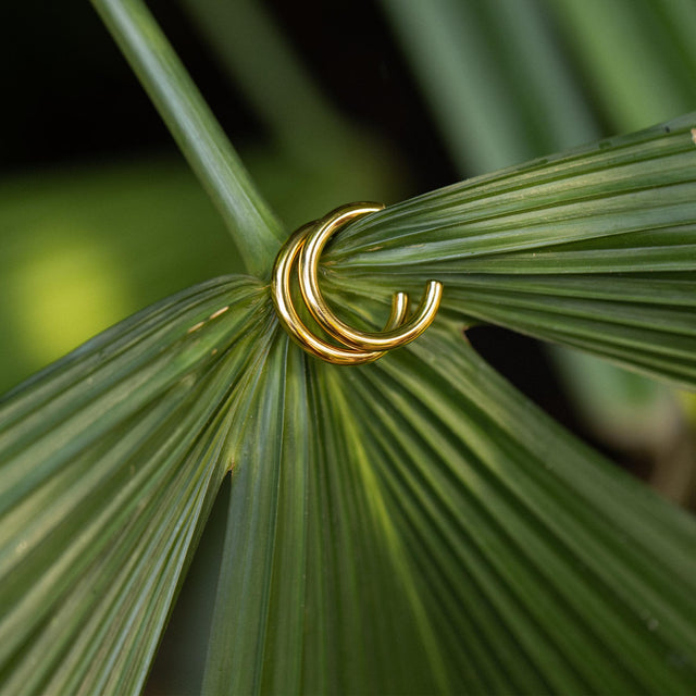 PURELEI Kumu O Creolen aus 18K vergoldetem Edelstahl, minimalistisch auf tropischem Palmblatt inszeniert.