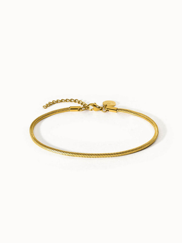 {"color":"Gold", "type":"lead_image"}