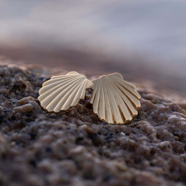 PURELEI Shell Ohrringe aus 18K Gold vergoldetem Edelstahl in Muschel-Design auf Felsen, elegant und naturverbunden