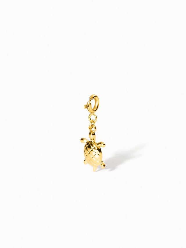 Flex Turtle Charm - INT PURELEI