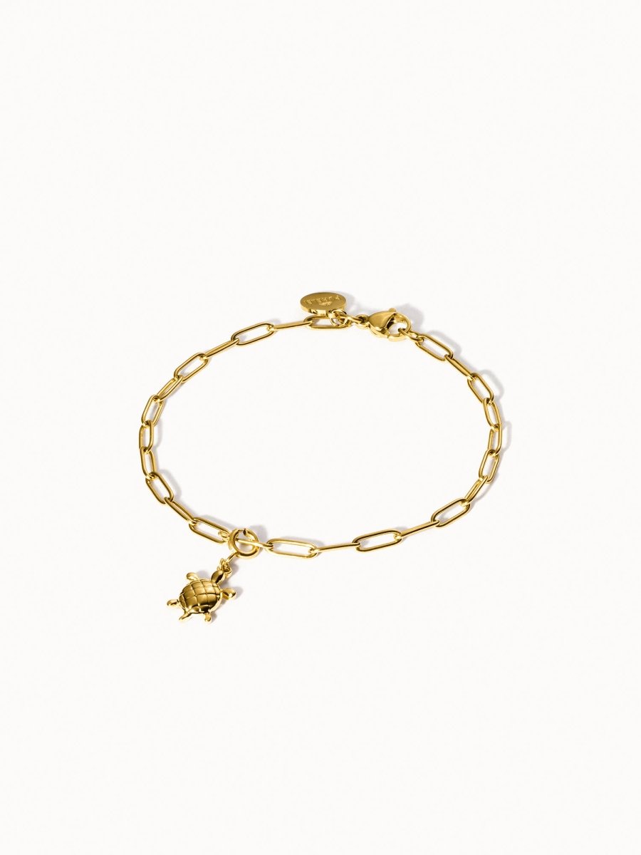 Flex Turtle Charm - INT PURELEI