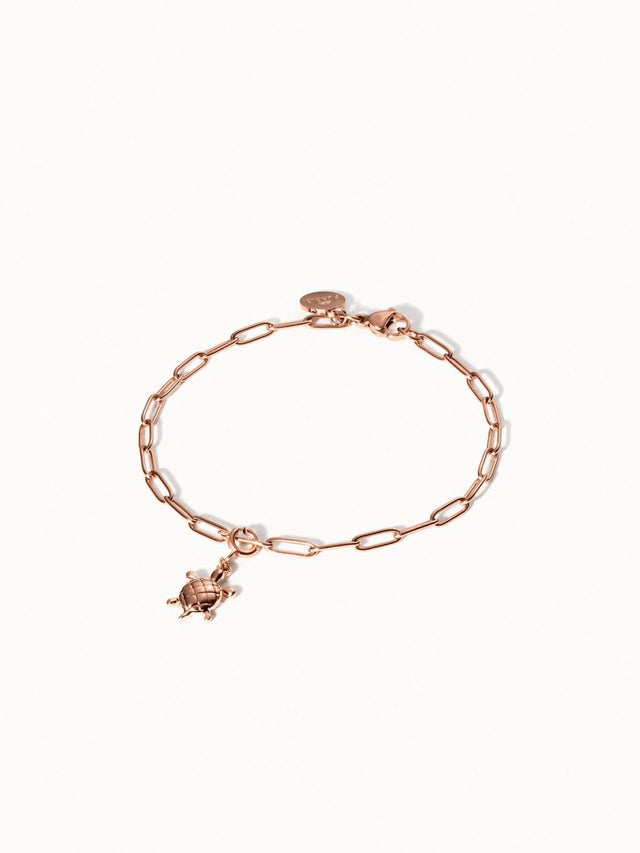 Flex Turtle Charm - INT PURELEI