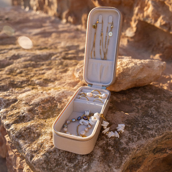 Jewelry Storage Travel Case - INT PURELEI