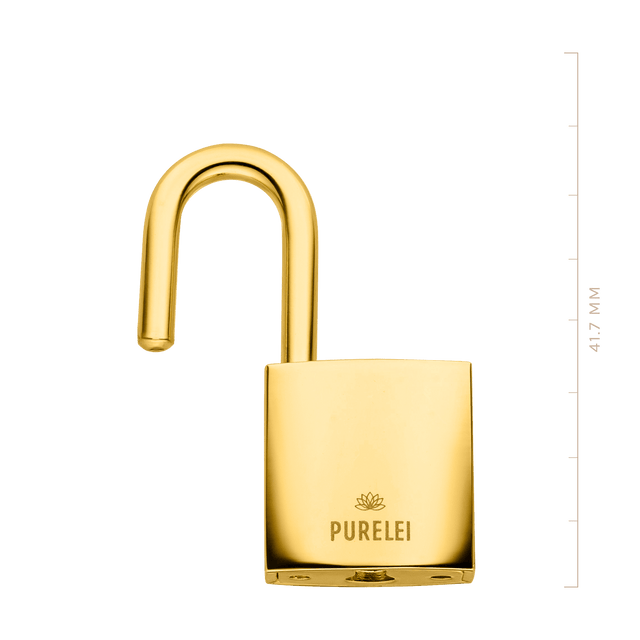 Goldener Anhänger in Form eines Schlosses mit PURELEI-Logo, elegant und modern.