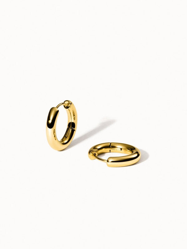 Small Glamorous Earrings - INT PURELEI