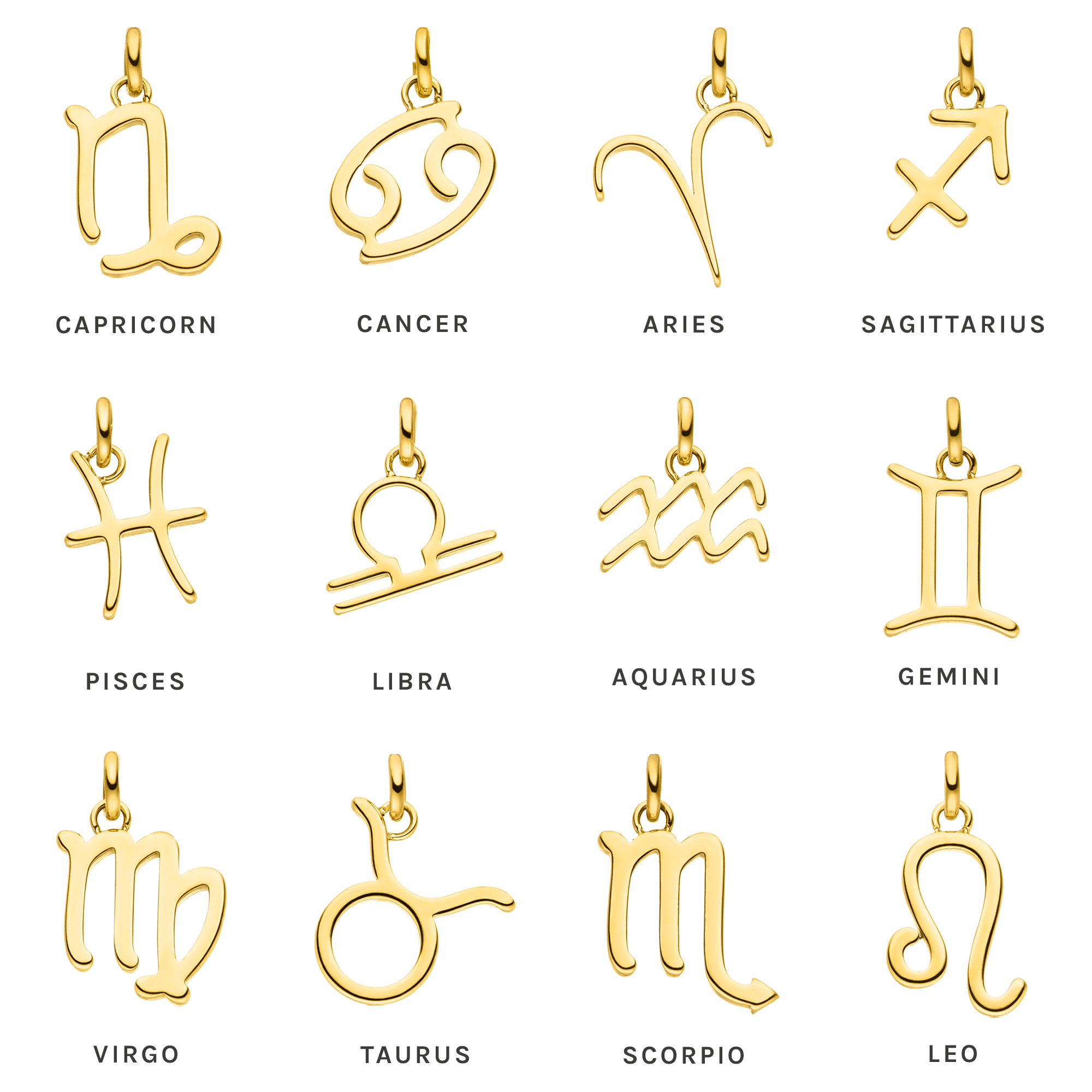 Zodiac Charm Capricorn